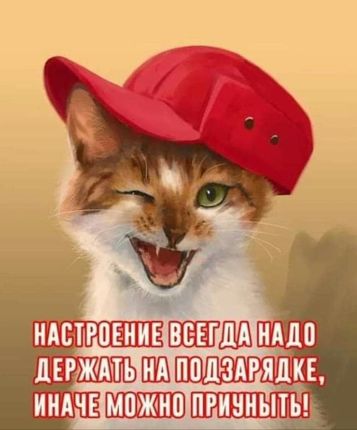 нвсгдпвнившвзпшзнлп ЛЕРЖШЬШППДЗАРЯДКЕ ИНАЧЕШШЮ