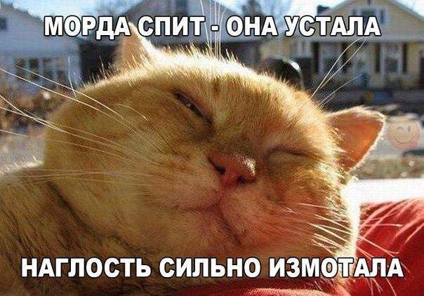 _ ндглость сильно измшддід