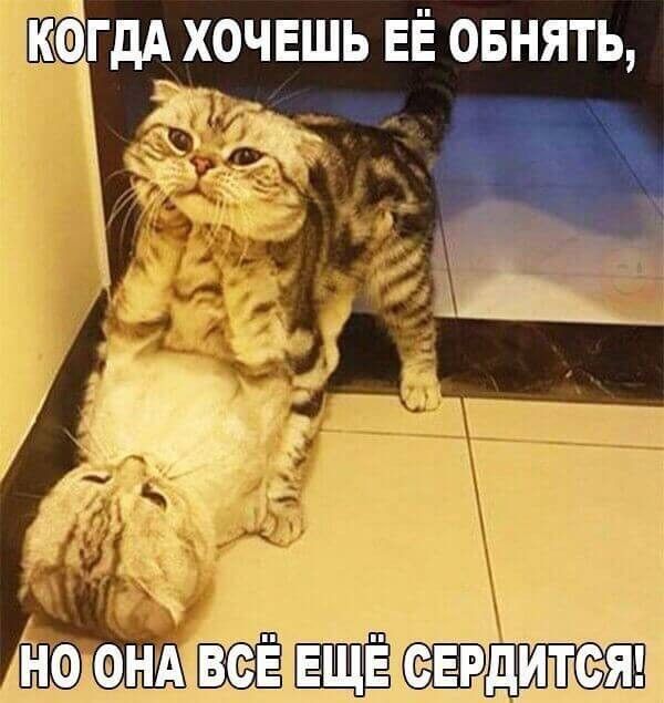 КОГДА ХОЧЕШЬ ЕЁ ОБНЯТЬ