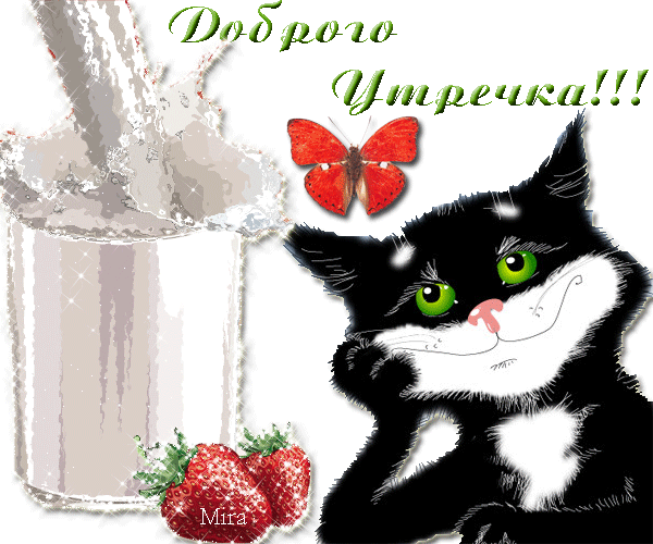 Займичи Диадумен ц