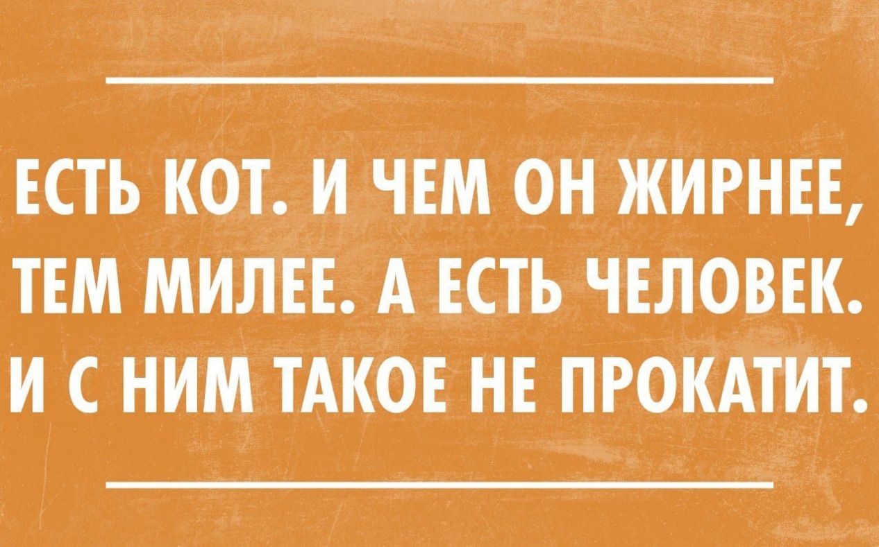 ЕСТЬ КОТ И ЧЕМ ОН ЖИРНЕЕ ТЕМ МИЛЕЕ А ЕСТЬ ЧЕЛОВЕК И С НИМ ТАКОЕ НЕ ПРОКАТИТ