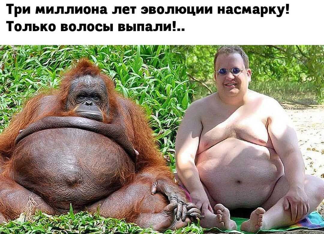Три миллиона л т эволю ии насмарку Только волосы выпали