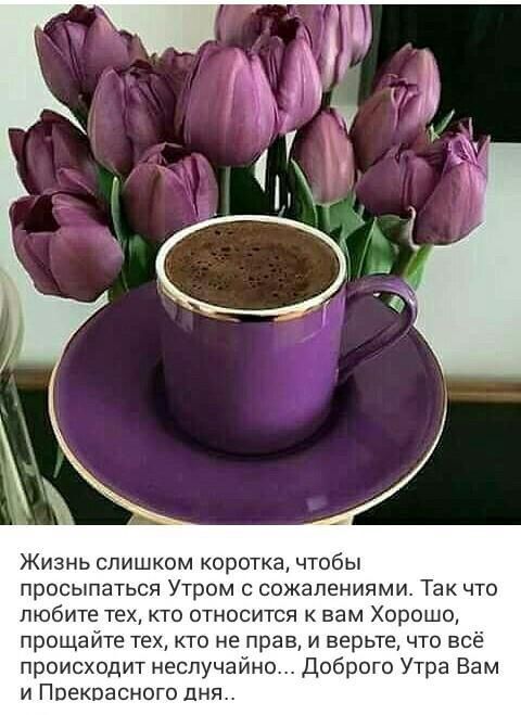 Жизнь слишком коротка чтобы просыпаться Утром с сожалениями Так что любите тех кто относится к вам Хорошо прощайте тех кто не прав и верьте что всё происходит неслучайно Доброго Утра Вам и Прекрасного дня