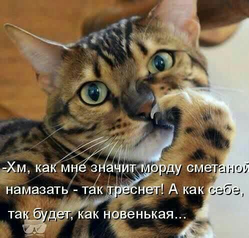 _ к Хм намазать тгік _ нетАкак таё буджк нрвенькаж