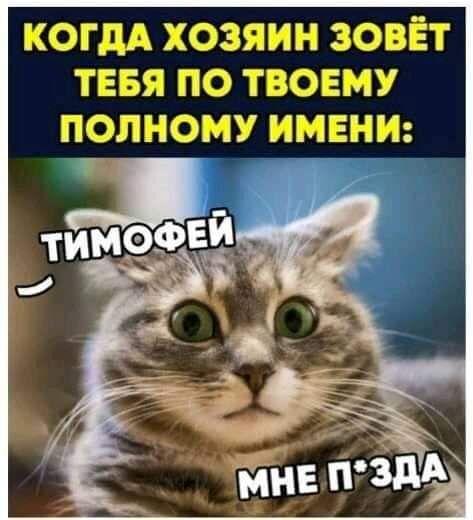р_4_мчь ДА__1