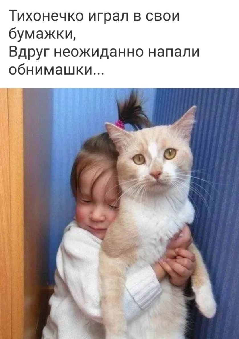 Тихонечко играл в свои бумажки Вдруг неожиданно напали обнимашки