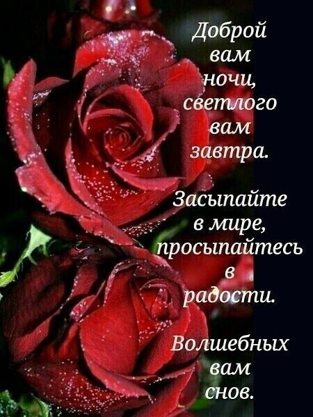 __ Доброй __ вам э ючи сёетшого вам завтра Заёыпайте