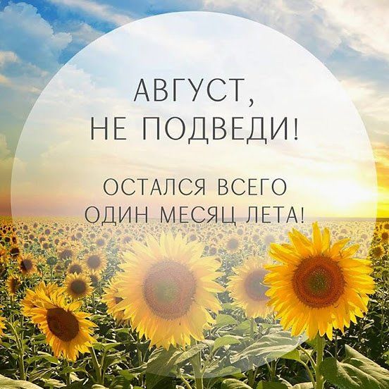АВГУСТ НЕ ПОДВЕДИ ОСТАЛСЯ ВСЕГО ОДИН МЕСЯЦ ЛЕТА