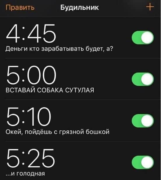 Править Будильник 4345 Деньги кто зарабатывать будет а 5300 ВСТАВАЙ СОБАКА СУТУПАЯ 5110 Окей пойдёшь с грязной бошкой 5125 И ГОЛОДНЗЯ
