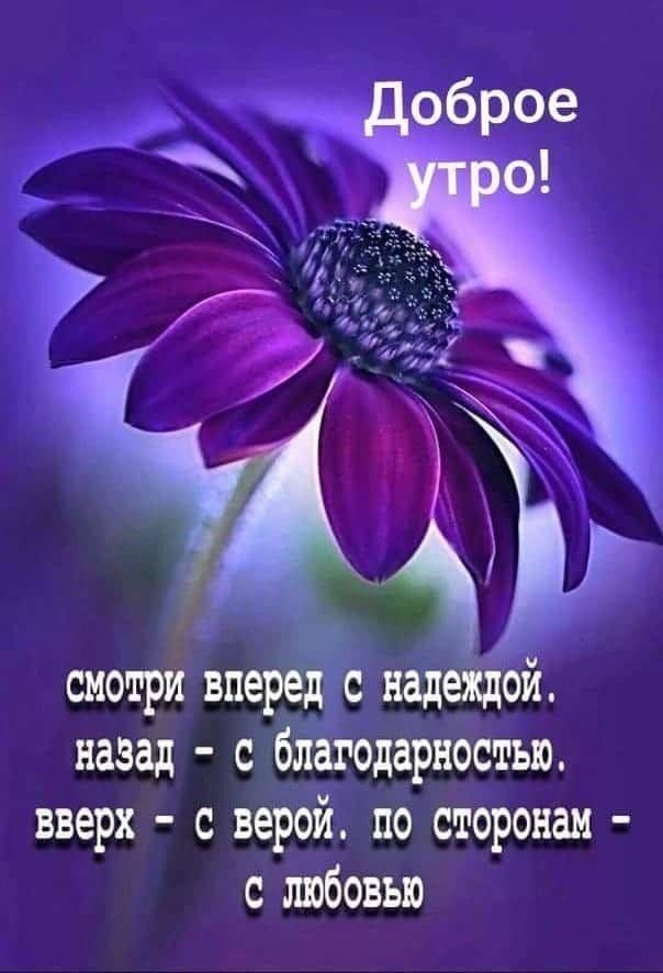 смотри вп назад с Ёйагодарностью вверх с верой по сторонам с любовью