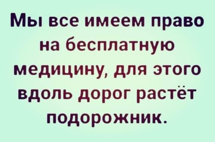 Мы все имеем право на бесплатную медицину для этого вдоль дорог растёт подорожник
