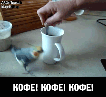 Н0ФЕ Н0ФЕ Н0ФЕ