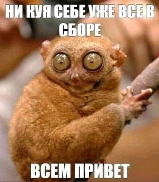 ВВЕМ ПРИВЕТ
