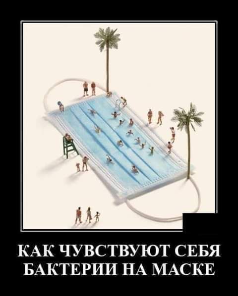 КАК ЧУВСТВУЮТ СЕБЯ БАКТЕРИИ НА МАСКЕ
