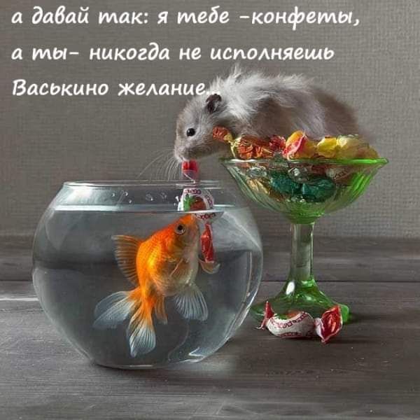 а давай так я тебе конфетЫ а мы никогда не исподняешь Васышно жеАанм