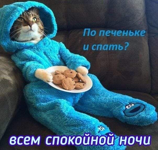 всем спокойной ночи