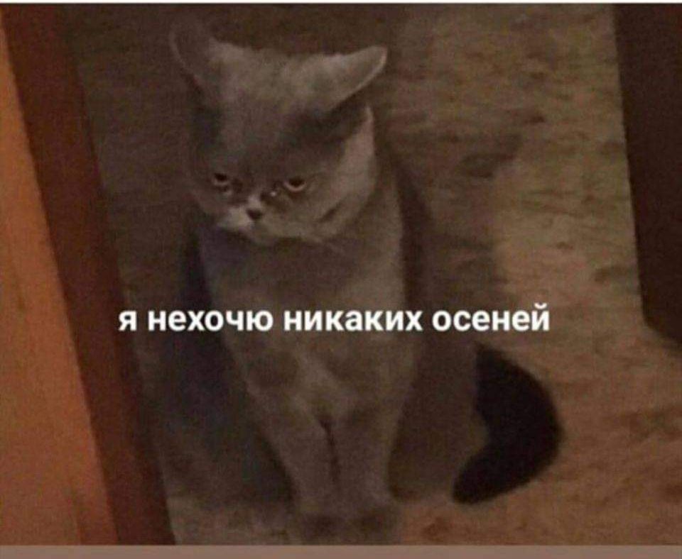 Я нехочю никаких осеней