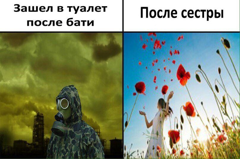 Зашел в туалет после бати После сестры