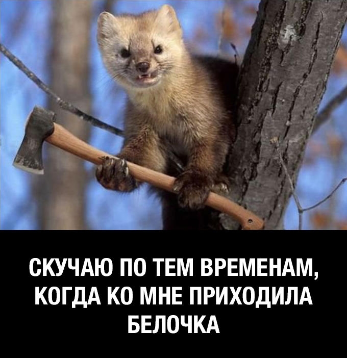 СКУЧАЮ ПО ТЕМ ВРЕМЕНАМ КОГДА КО МНЕ ПРИХОДИЛА БЕЛОЧКА