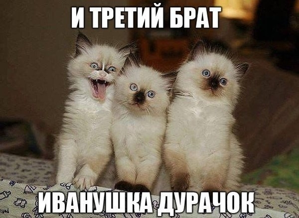 и третий БШ