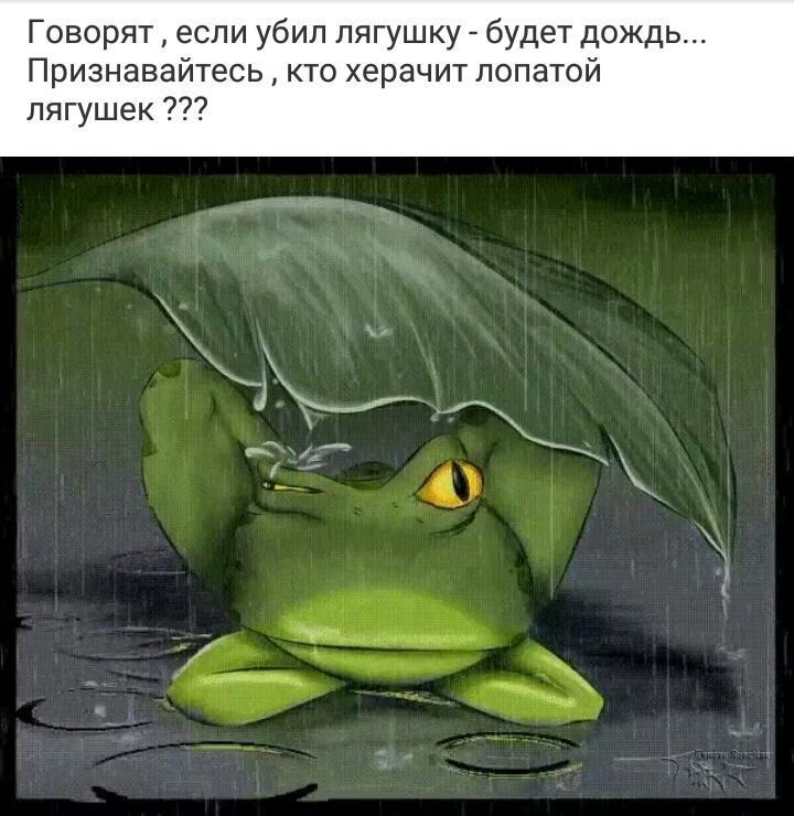 Говорят если убил лягушку будет дождь Признавайтесь кто херачит лопатой лягушек