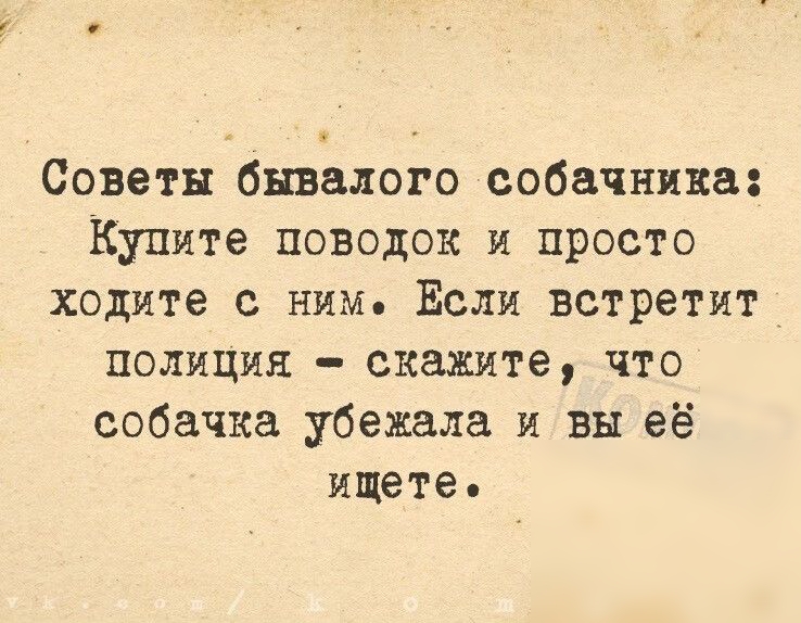 Советы бывалого собачника Купите поводок и просто ходите с ним Если встретит полиция скажите что собачка убежала и вы её ищете