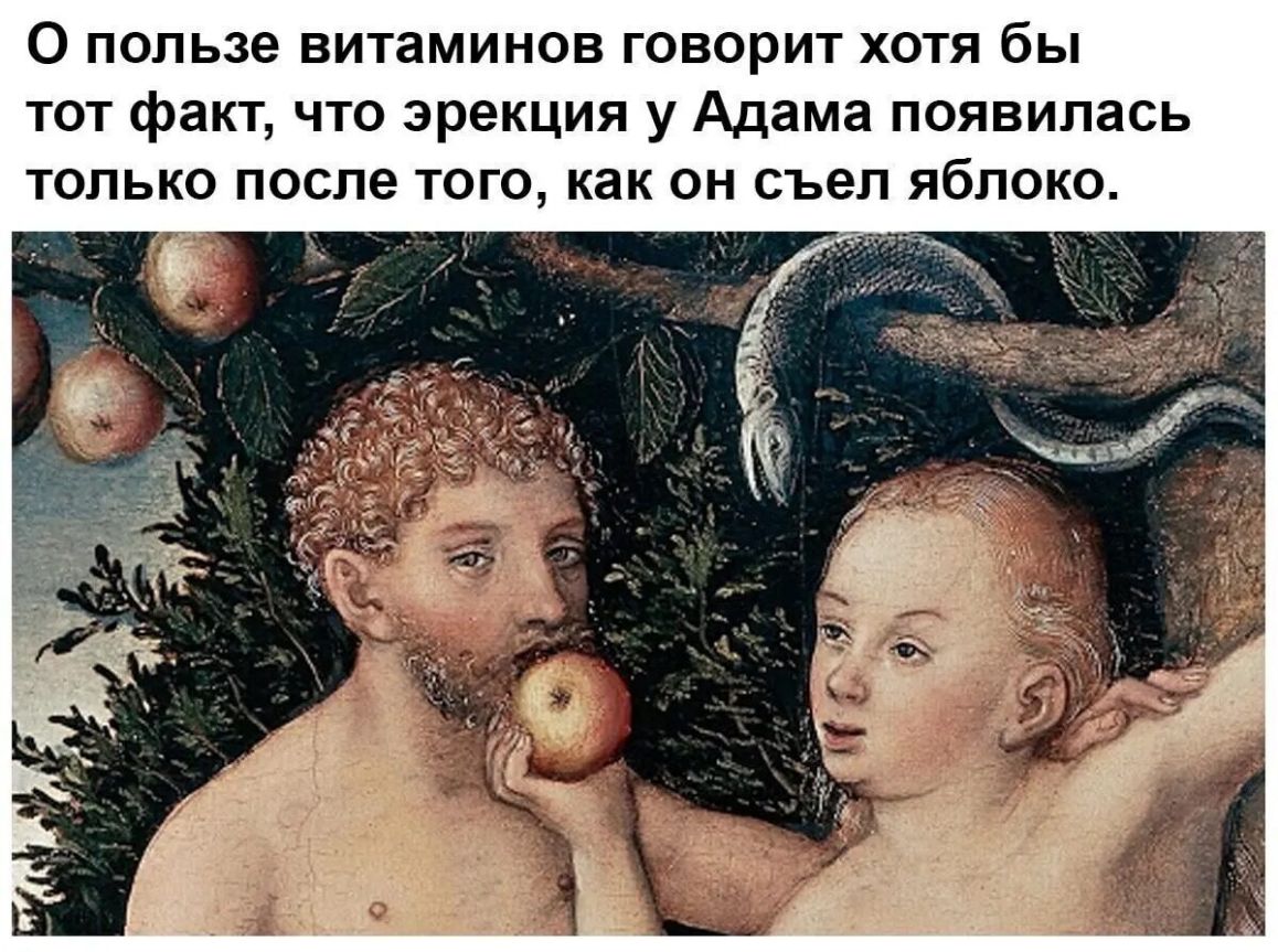 О пользе витаминов говорит хотя бы тот факт что эрекция у Адама появилась только после того как он съел яблоко
