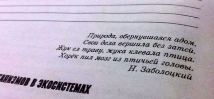 ИЗА гц Геай дфмн вафлиошалел Ст Апл вирши дим 11 Асума теща Ю птичьей іі