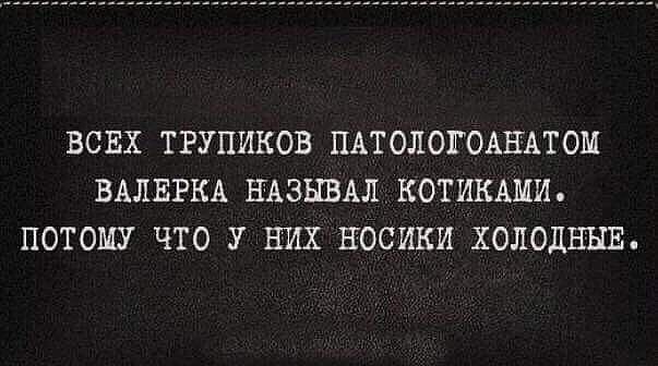 ВСЕХ ТРУПИКОВ ПАТОЛОГОАНАТОМ ВАЛЕРКА НАЗНВАЛ КОТИКАМИ ПОТОМУ ЧТО У НИХ ЕОСИКИ ХОЛОДНЫЕ