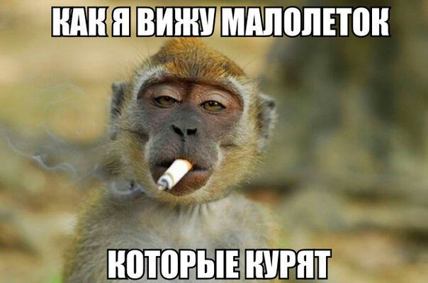 нінявижшмдпопппн в _ ишшёыіэнчрнт