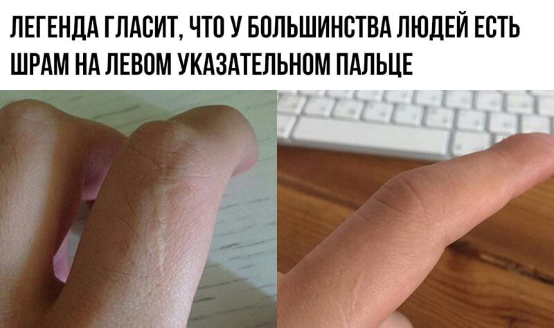 ЛЕГЕНДА ГЛАСИТ ЧТО У БПЛЬШИНСТВА ЛЮДЕЙ ЕСТЬ ШРАМ Нд ЛЕВПМ УКАЗАТЕЛЬНОМ ПАЛЬЦЕ