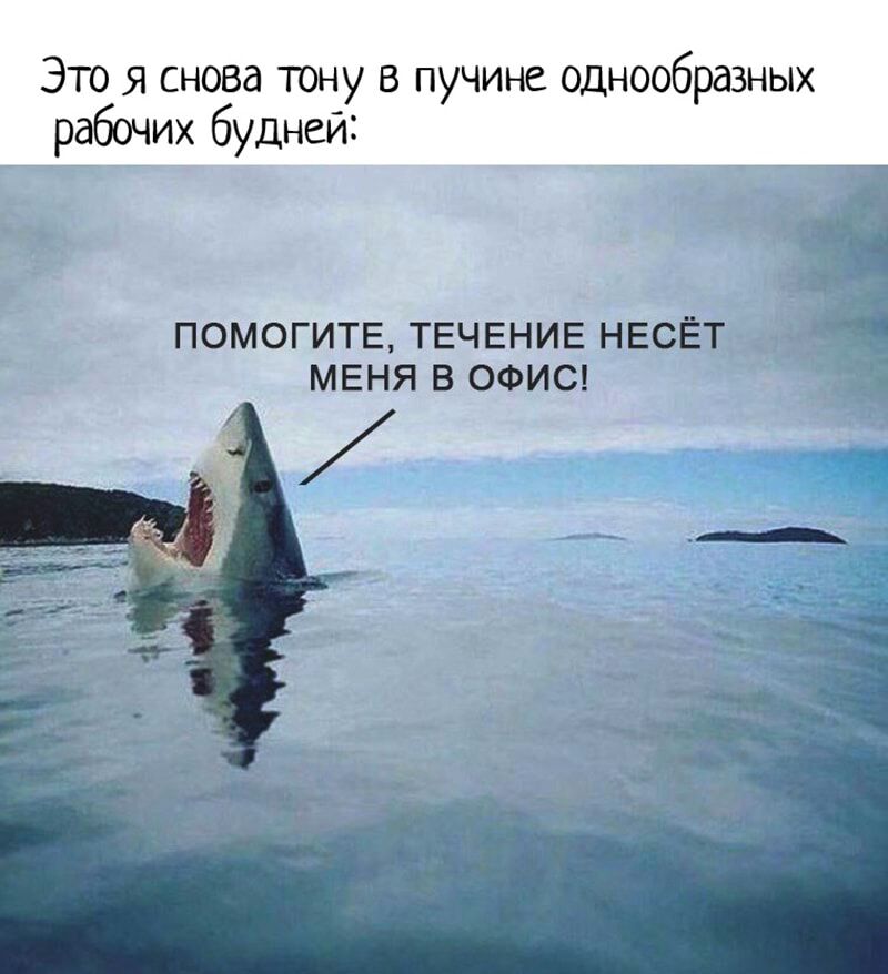 Это я снова тону в пучине однообразных робочих будней ПОМОГИТЕ ТЕЧЕНИЕ НЕСЁТ МЕНЯ В ОФИС