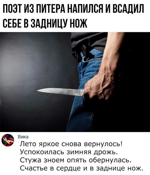 ПОЭТ ИЗ ПИТЕРА НАПИЛБЯ И ВВАДИЛ СЕБЕ В ЗАДНИЦУ НОЖ Вика Лето яркое снова вернулось Успокоипась зимняя дрожь Стужа зноем опять обернулась Счастье В СЕРДЦЕ И В заднице НОЖ