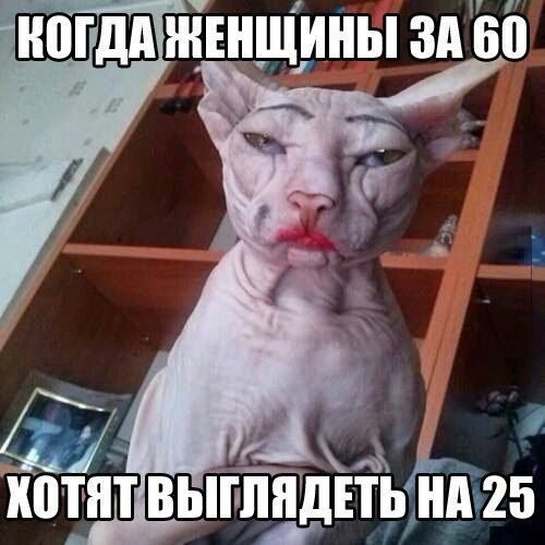п ПЕШЕХЖЕНШИНЫ ЗА 60