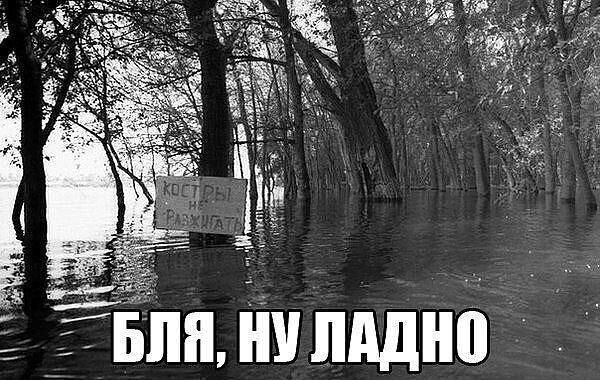 Бпн іш пдднб 1