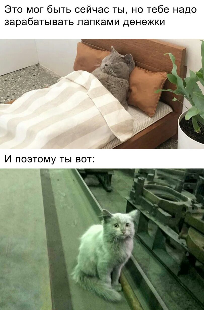 Это мог быть сейчас ты но тебе надо зарабатывать папками денежки