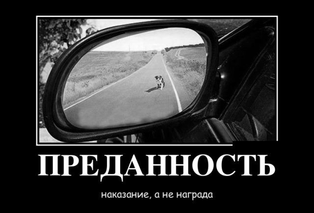 ПРЕДАННОСТЬ