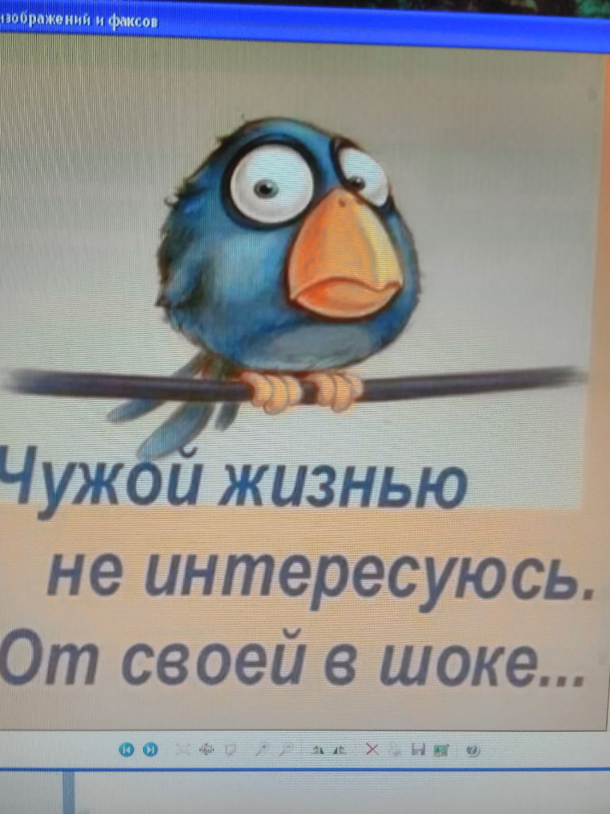 Чужёи жизнью не интересуюсь От своей в шоке О ц и А У 1 п _____