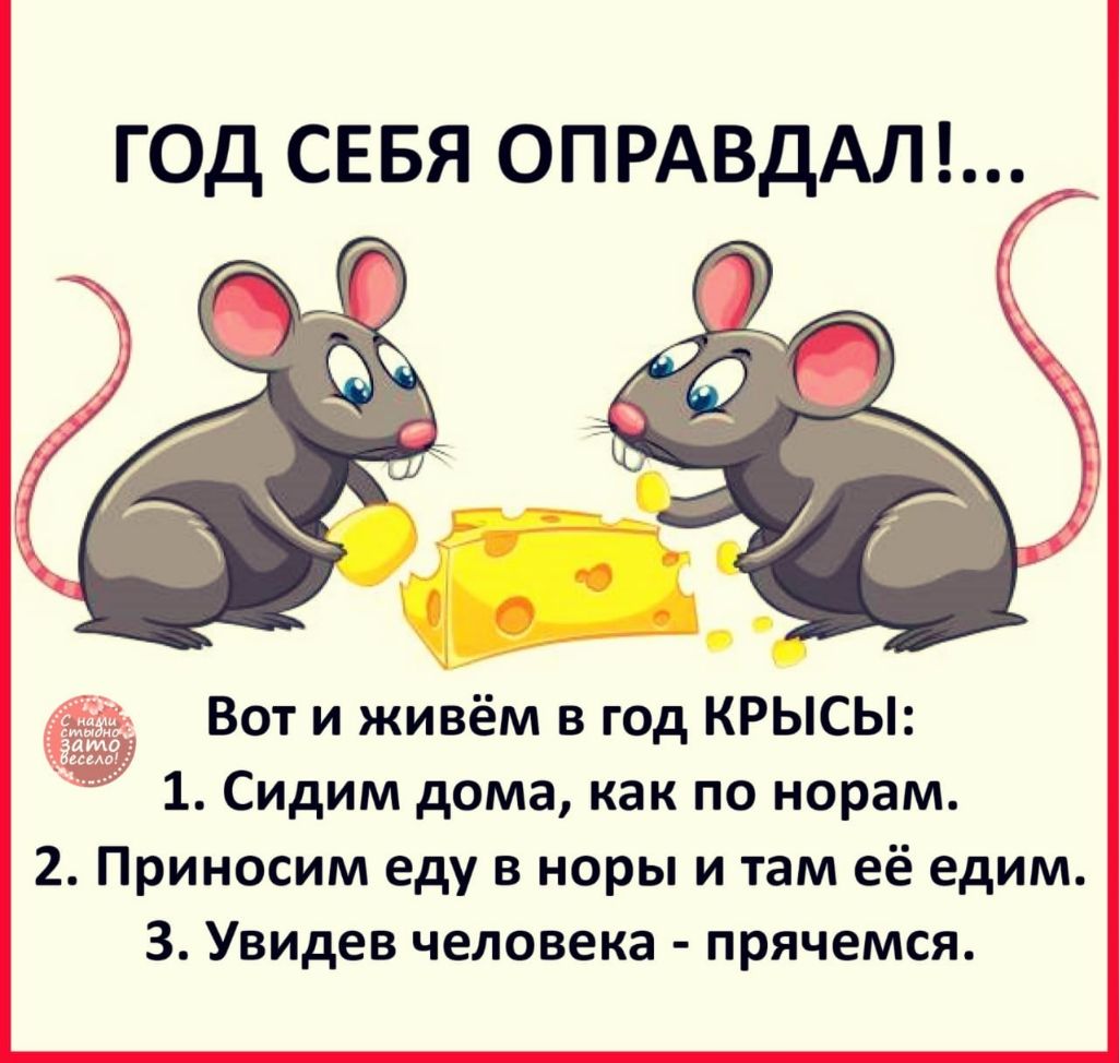 ГОД СЕБЯ ОПРАВДАЛ Вот и живём в год КРЫСЫ 1 Сидим дома как по норам 2 Приносим еду в норы и там её едим З Увидев человека прячемся