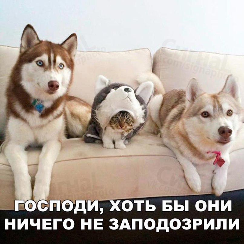 __ ЕФЁПОДИ ХОТЬ БЫ ОНИ НИЧЕГО НЕ ЗАПОДОЗРИЛИ