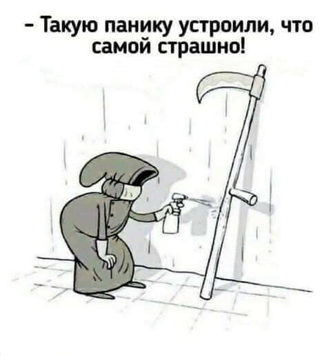 Такую панику устроили что самой страшно