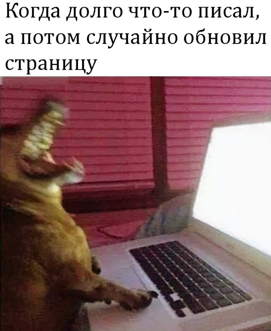 Когда долго что то писал а потом случайно обновил страницу