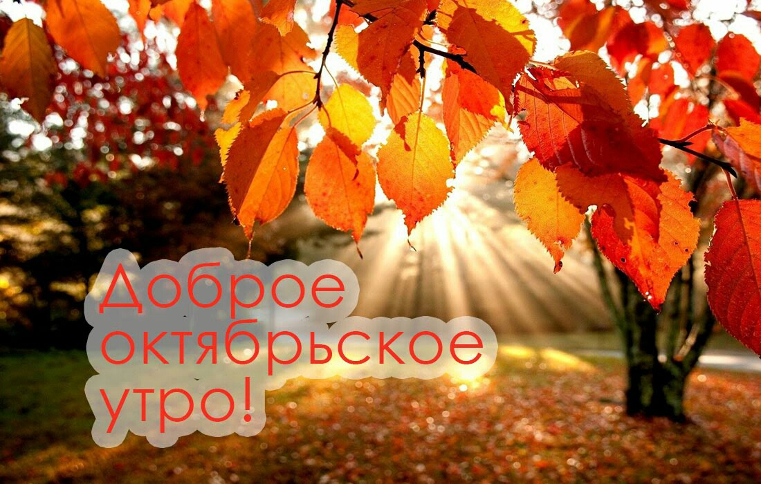 5х4 д Ь Аоброеш октябрьское __