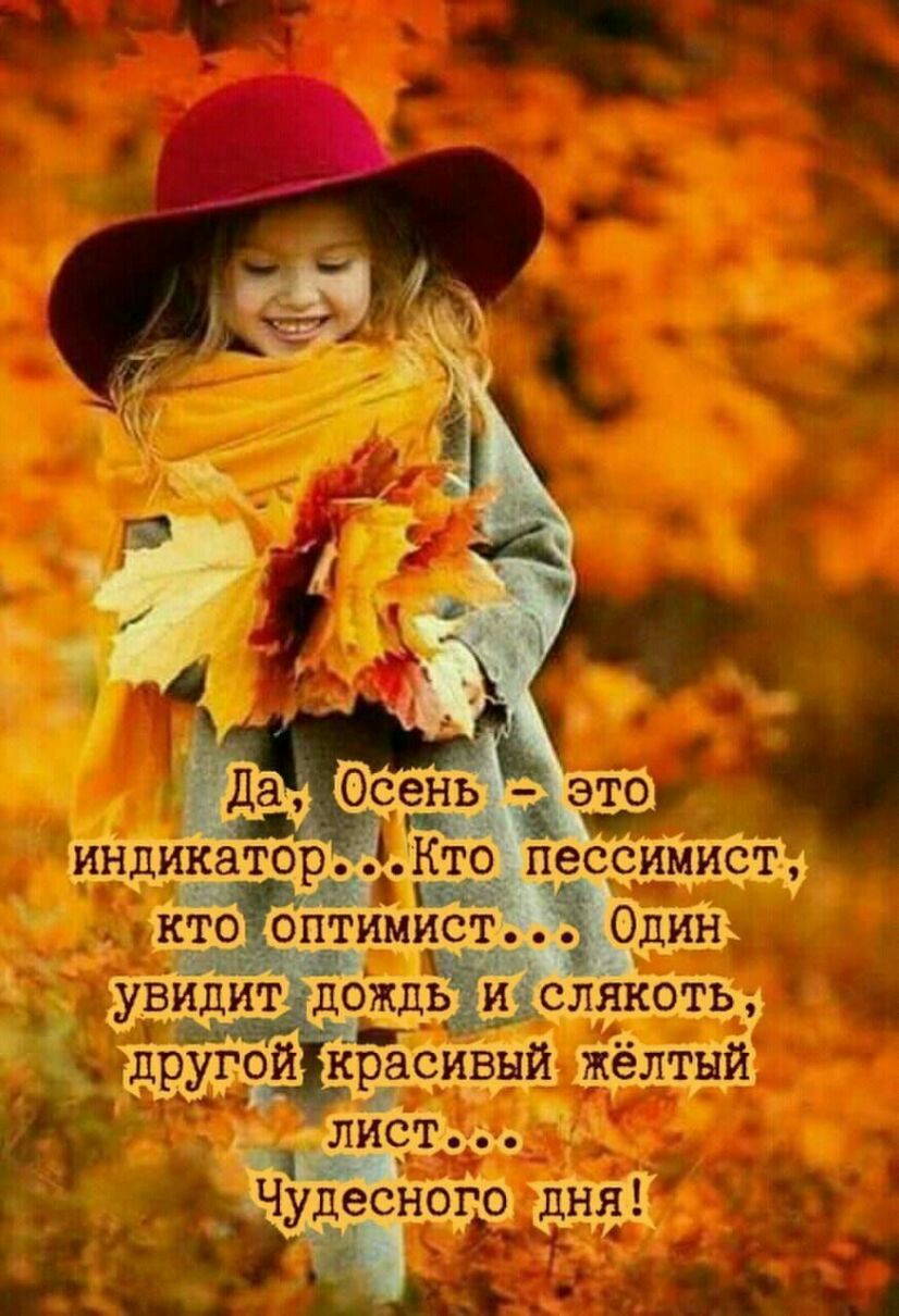 индикатор Би ктоиоптимист Один _ ОсеНЬ Ё ТО пессимист