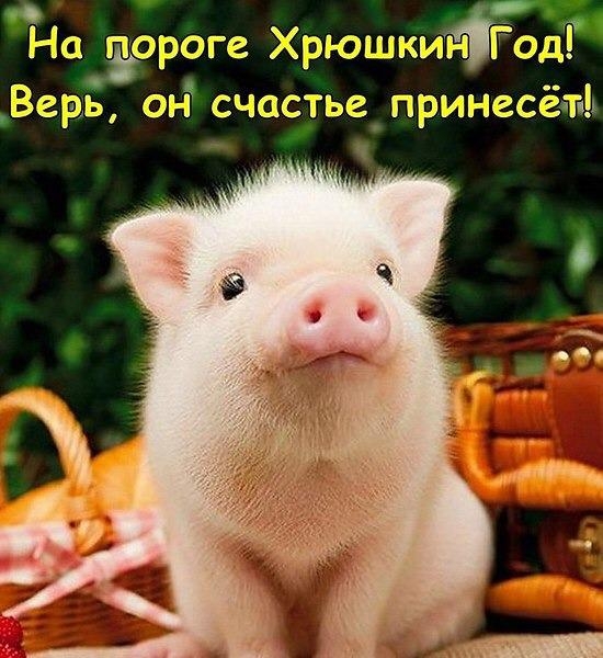 На ртса ХрЮШКИЁЮДП счастье прииасёчт ЁА