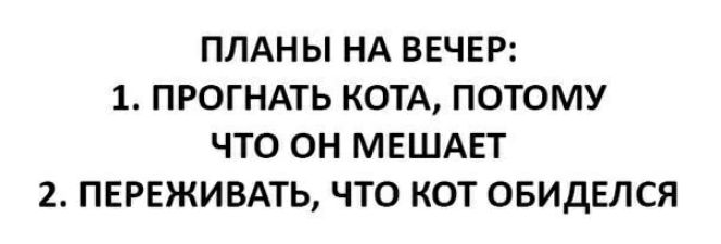 ПЛАН Ы НА ВЕЧЕР 1 ПРОГНАТЬ КОТА ПОТОМУ ЧТО ОН МЕШАЕТ 2 ПЕРЕЖИВАТЬ ЧТО КОТ ОБИДЕЛСЯ