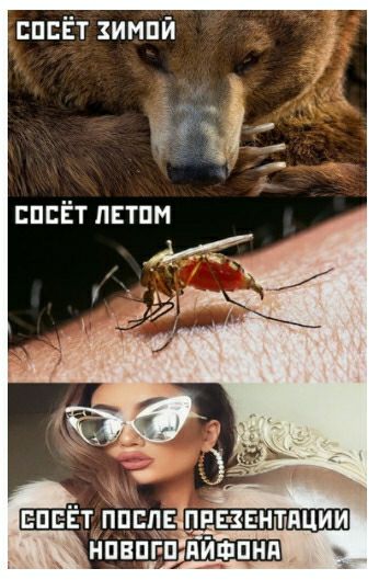 СПЕЁТ ИМПЙ 5 шЁт пгтпм