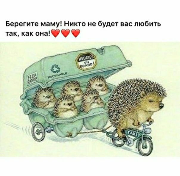Берегите маму Никто не будет вас любить так как она