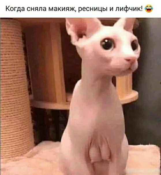 Когда сняла макияж ресницы и лифчик Ё