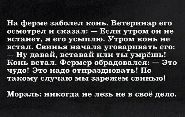 На ферме заболел конь Ветеринар его осмотрел и сказал Если утром он не встанет Я его усьхплю Утром конь не встал Свинья начала уговаривать его Ну давай вставай или ты умрёшь Конь встал Фермер обрадовался Зто чудо Это надо отпраздновать По такому случаю мы зарежем свинью МОРЫЛЬ никогда не ЛЕЗЬ не В СВОЁ дело